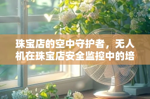 珠宝店的空中守护者，无人机在珠宝店安全监控中的培训需求