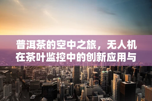 普洱茶的空中之旅，无人机在茶叶监控中的创新应用与培训挑战
