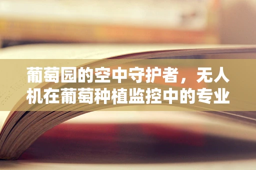 葡萄园的空中守护者，无人机在葡萄种植监控中的专业培训需求