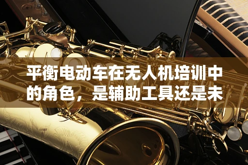 平衡电动车在无人机培训中的角色，是辅助工具还是未来趋势？