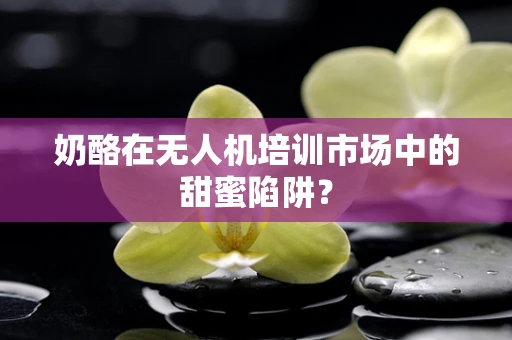 奶酪在无人机培训市场中的甜蜜陷阱？