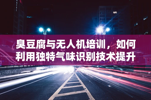臭豆腐与无人机培训，如何利用独特气味识别技术提升飞行安全？