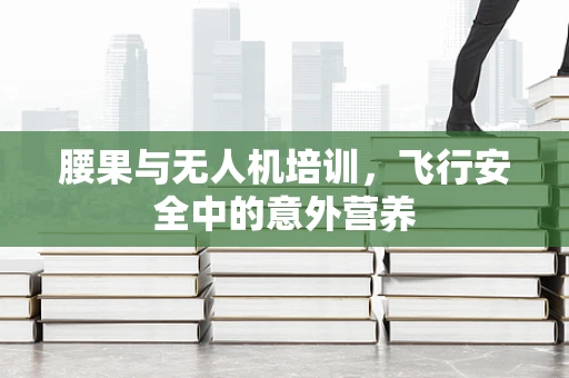 腰果与无人机培训，飞行安全中的意外营养