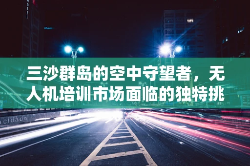 三沙群岛的空中守望者，无人机培训市场面临的独特挑战与机遇？