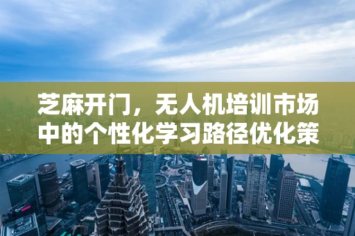 芝麻开门，无人机培训市场中的个性化学习路径优化策略