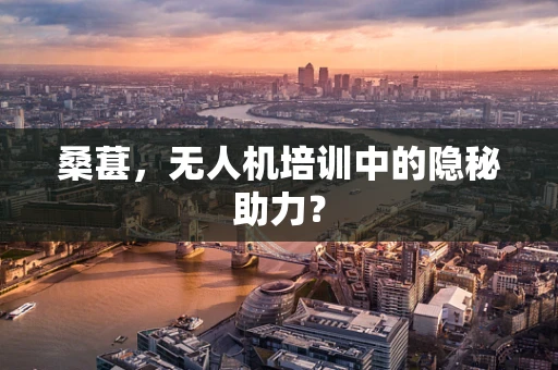 桑葚，无人机培训中的隐秘助力？