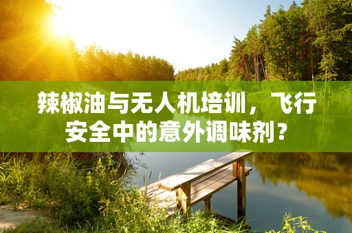 辣椒油与无人机培训，飞行安全中的意外调味剂？