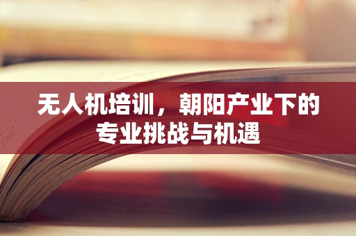 无人机培训，朝阳产业下的专业挑战与机遇