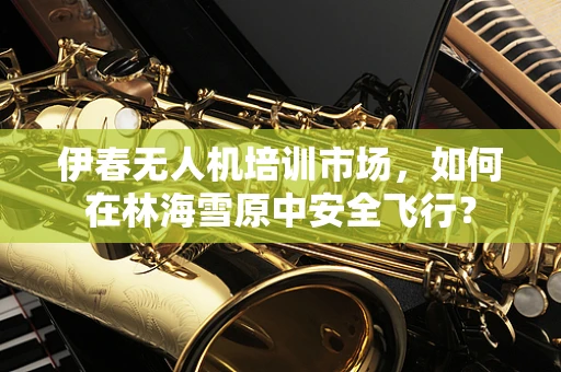 伊春无人机培训市场，如何在林海雪原中安全飞行？
