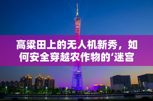 高粱田上的无人机新秀，如何安全穿越农作物的‘迷宫’？