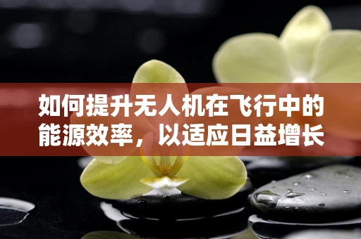 如何提升无人机在飞行中的能源效率，以适应日益增长的培训市场需求？