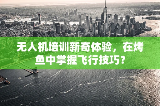无人机培训新奇体验，在烤鱼中掌握飞行技巧？