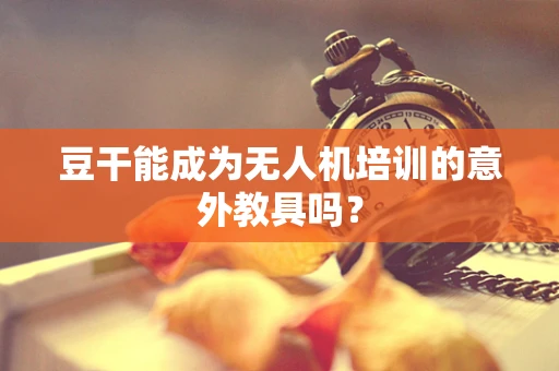 豆干能成为无人机培训的意外教具吗？