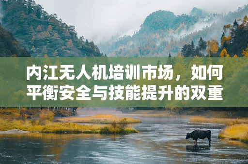 内江无人机培训市场，如何平衡安全与技能提升的双重需求？