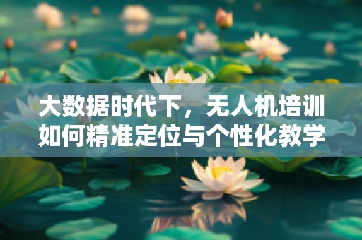 大数据时代下，无人机培训如何精准定位与个性化教学？