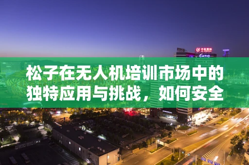 松子在无人机培训市场中的独特应用与挑战，如何安全融入教学？