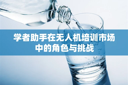 学者助手在无人机培训市场中的角色与挑战