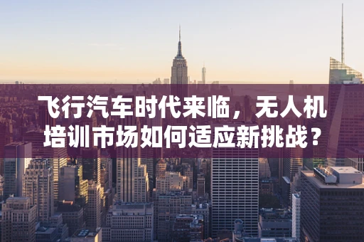 飞行汽车时代来临，无人机培训市场如何适应新挑战？