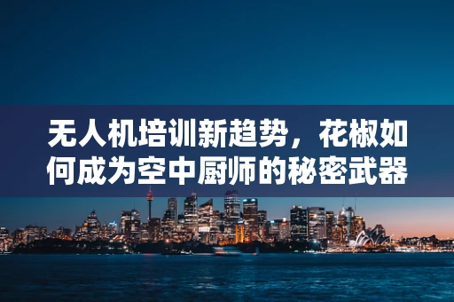 无人机培训新趋势，花椒如何成为空中厨师的秘密武器？