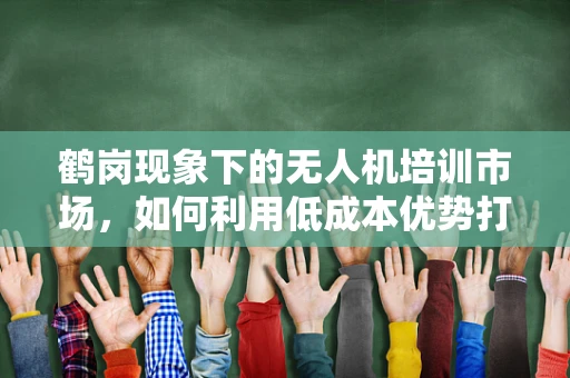 鹤岗现象下的无人机培训市场，如何利用低成本优势打造特色培训课程？