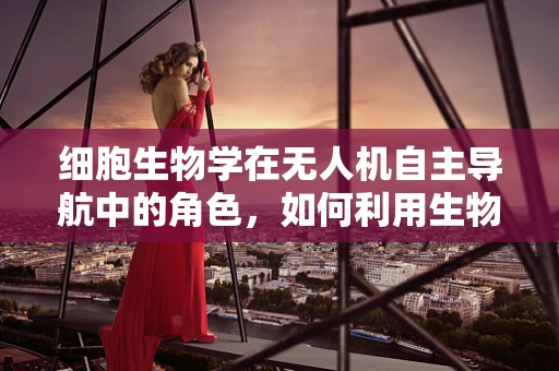 细胞生物学在无人机自主导航中的角色，如何利用生物启发的算法提升飞行性能？