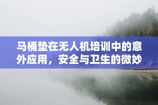马桶垫在无人机培训中的意外应用，安全与卫生的微妙平衡