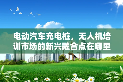 电动汽车充电桩，无人机培训市场的新兴融合点在哪里？