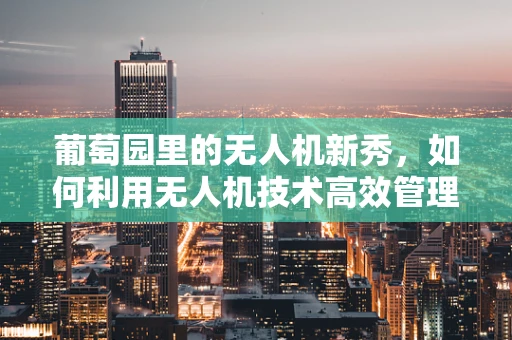 葡萄园里的无人机新秀，如何利用无人机技术高效管理葡萄园？