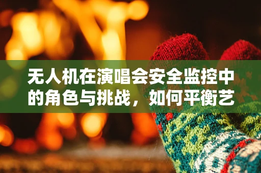 无人机在演唱会安全监控中的角色与挑战，如何平衡艺术自由与空中安全？
