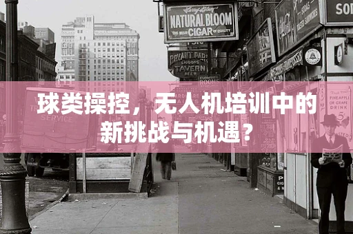 球类操控，无人机培训中的新挑战与机遇？