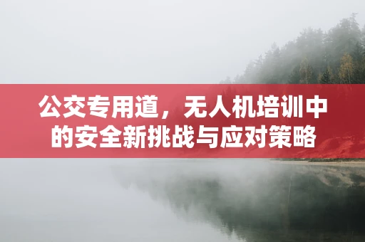 公交专用道，无人机培训中的安全新挑战与应对策略