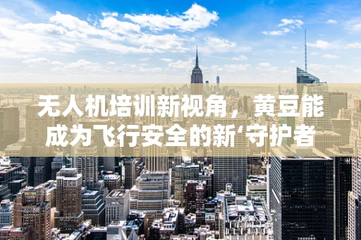无人机培训新视角，黄豆能成为飞行安全的新‘守护者’吗？