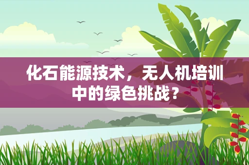 化石能源技术，无人机培训中的绿色挑战？