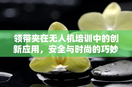 领带夹在无人机培训中的创新应用，安全与时尚的巧妙结合