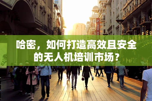 哈密，如何打造高效且安全的无人机培训市场？