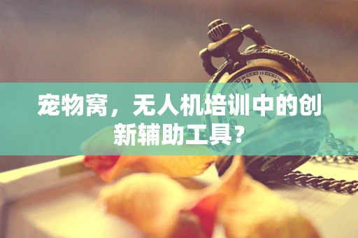 宠物窝，无人机培训中的创新辅助工具？