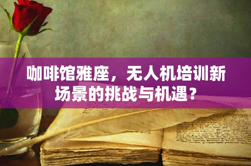 咖啡馆雅座，无人机培训新场景的挑战与机遇？