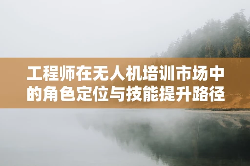 工程师在无人机培训市场中的角色定位与技能提升路径