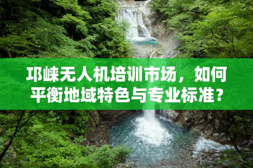 邛崃无人机培训市场，如何平衡地域特色与专业标准？