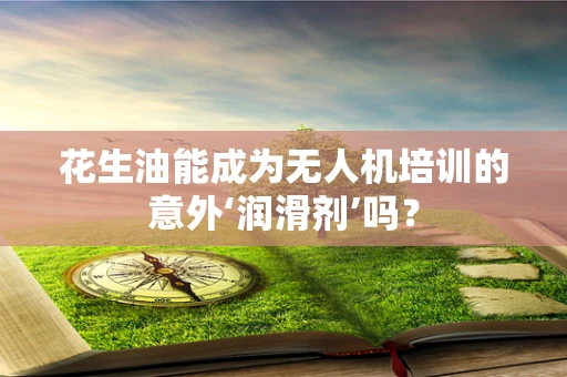 花生油能成为无人机培训的意外‘润滑剂’吗？