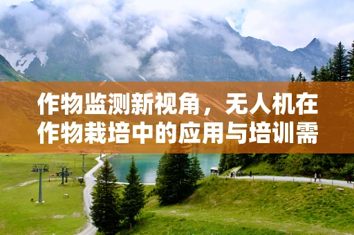 作物监测新视角，无人机在作物栽培中的应用与培训需求