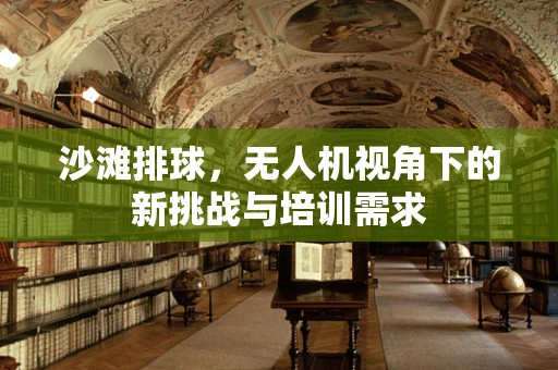 沙滩排球，无人机视角下的新挑战与培训需求
