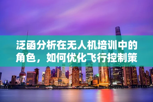 泛函分析在无人机培训中的角色，如何优化飞行控制策略？