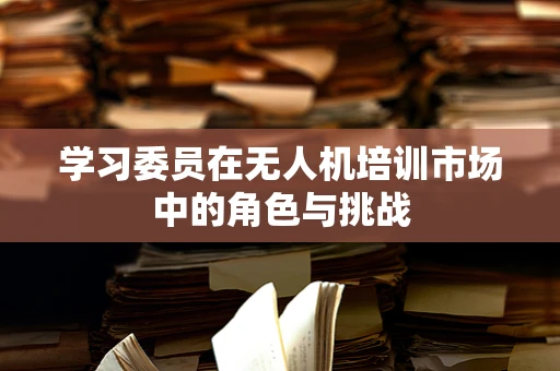 学习委员在无人机培训市场中的角色与挑战