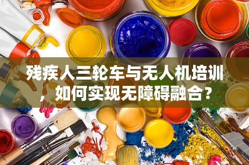 残疾人三轮车与无人机培训，如何实现无障碍融合？