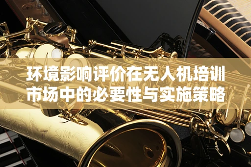 环境影响评价在无人机培训市场中的必要性与实施策略