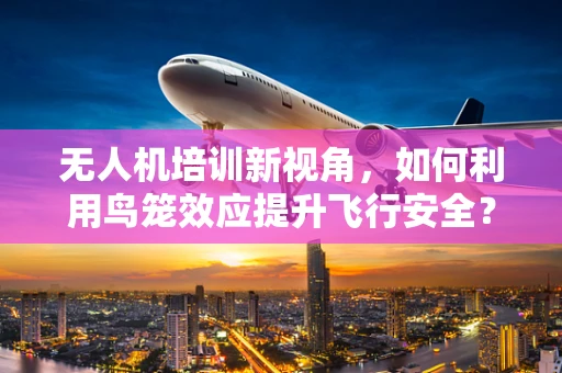 无人机培训新视角，如何利用鸟笼效应提升飞行安全？