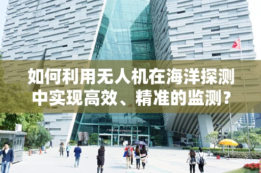 如何利用无人机在海洋探测中实现高效、精准的监测？