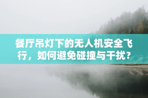 餐厅吊灯下的无人机安全飞行，如何避免碰撞与干扰？