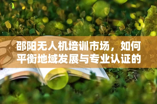 邵阳无人机培训市场，如何平衡地域发展与专业认证的挑战？